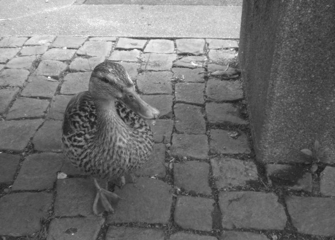 »Besucher im Turm«